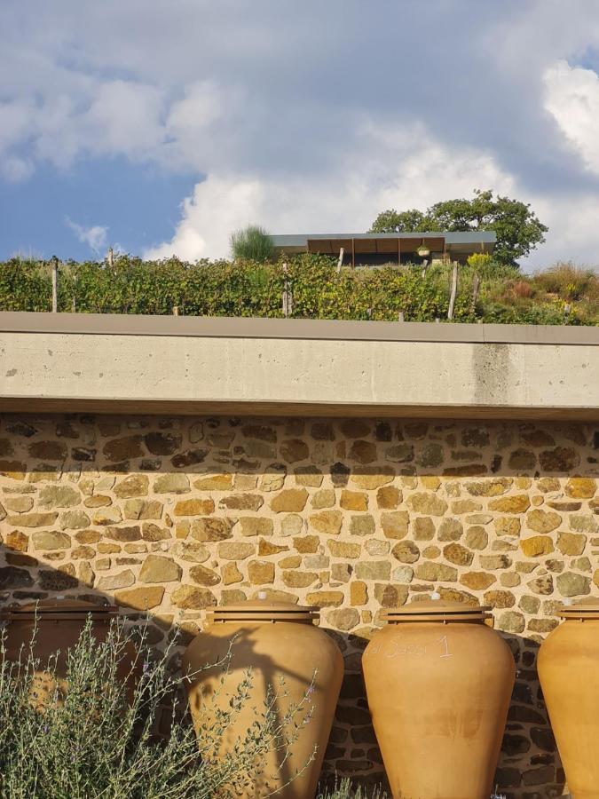 マンチャーノ Poggio Cagnano Bed & Breakfast エクステリア 写真
